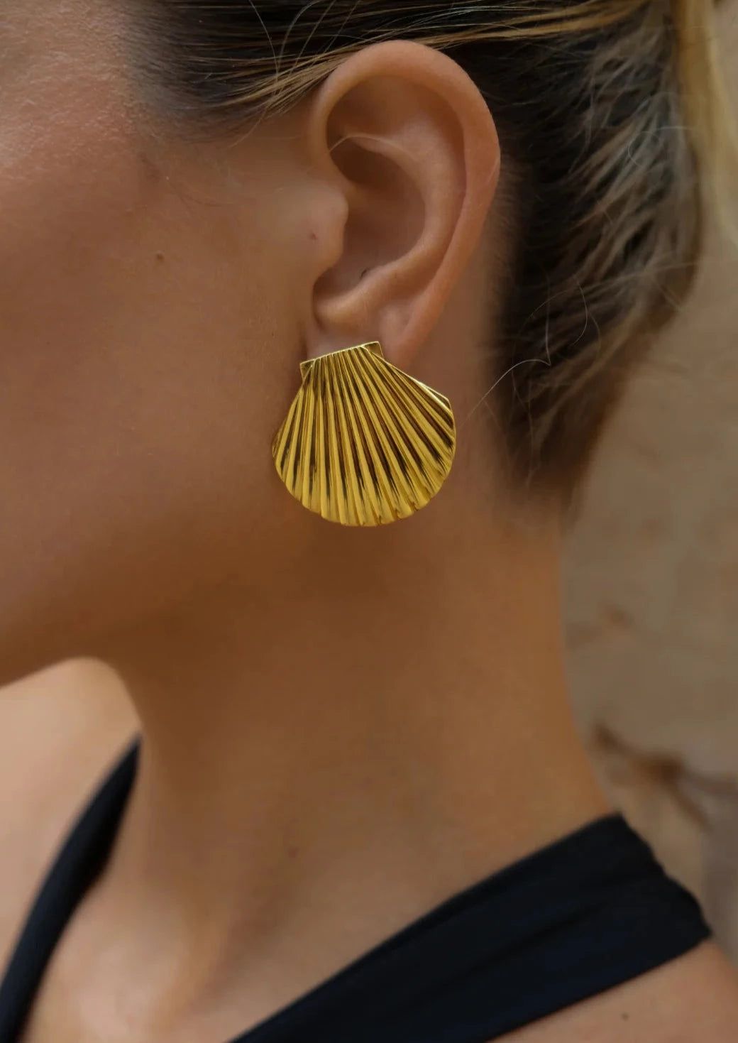 Seashell Stud Earrings