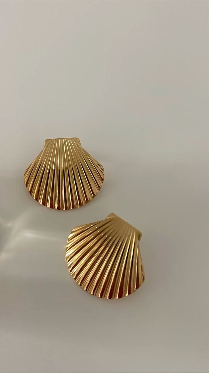 Seashell Stud Earrings