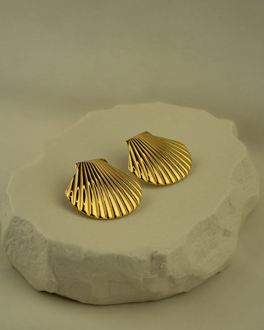 Seashell Stud Earrings